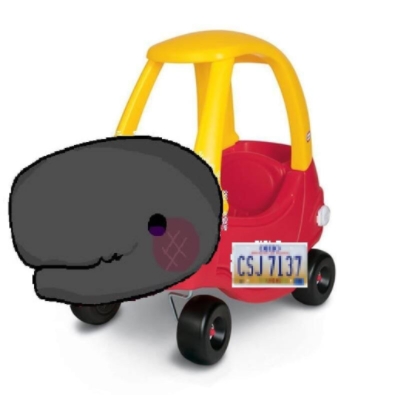 Quacar